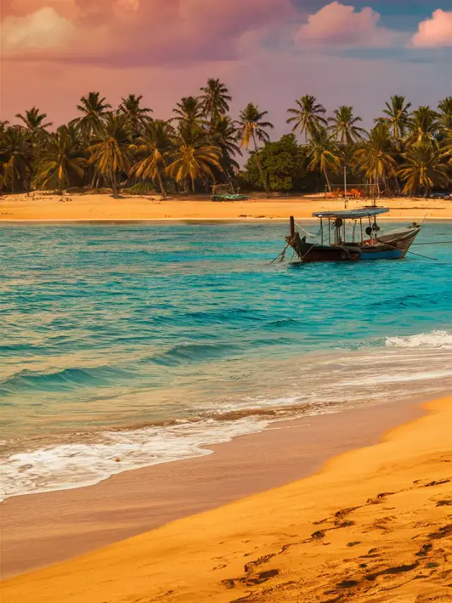 Why Visit Goa? Discover the Top 10 Reasons