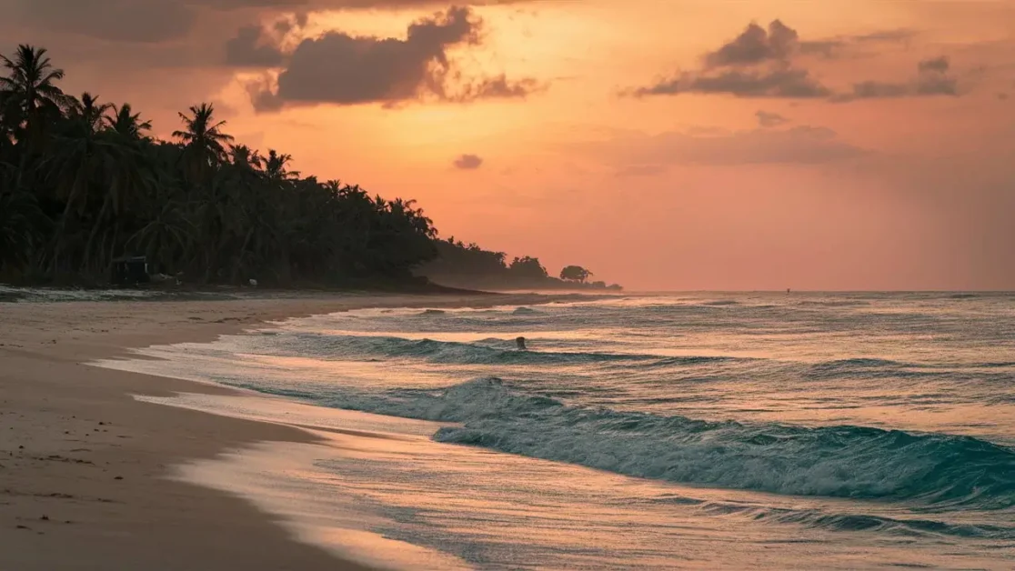 How do the natural features of Indian beaches compare to those of other beaches?