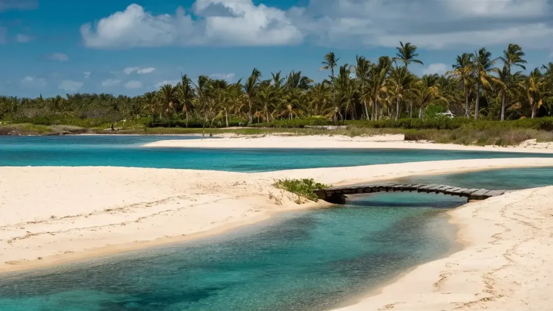 How do the natural features of Indian beaches compare to those of other beaches?