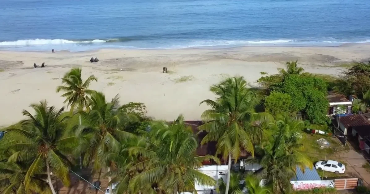 Aerial view of a sunny beach with palm trees, showcasing the warm, inviting atmosphere of Indian beaches.