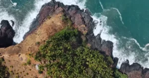 Overhead view of Goa beach, with the ocean and trees, illustrating the appeal of beaches to visitors.