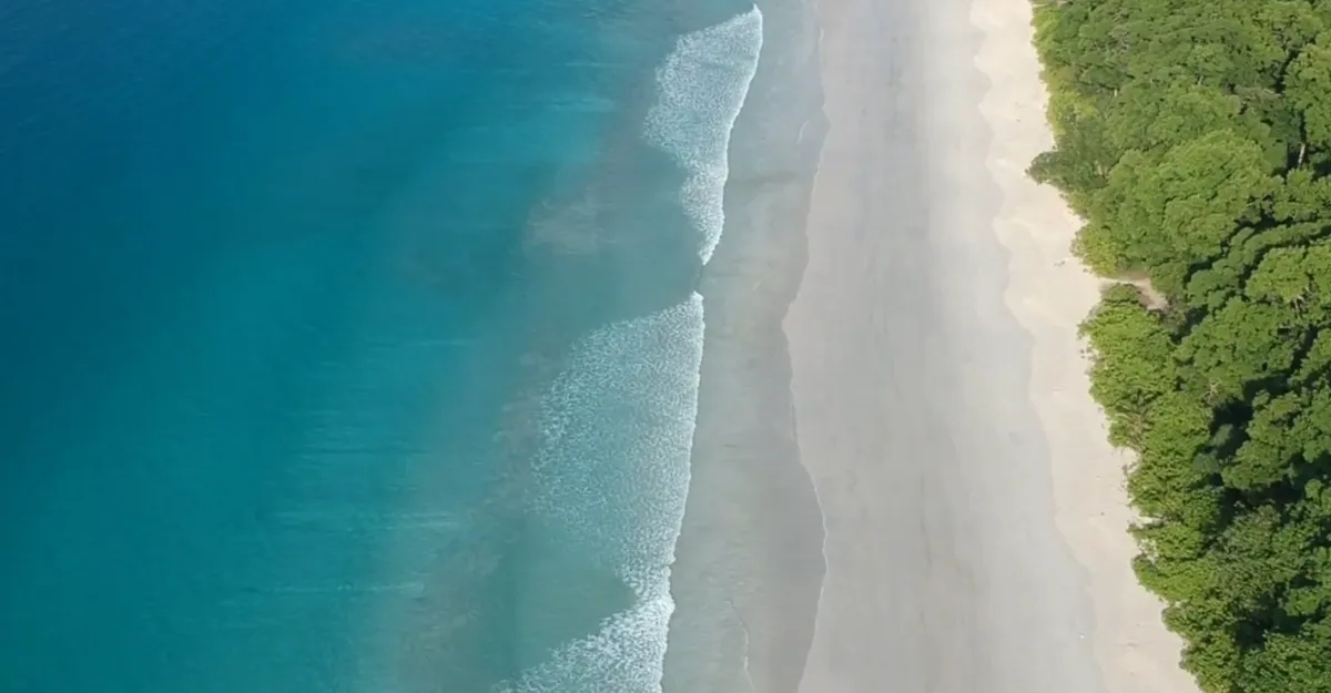 Radhanagar Beach seen from above, embraced by vibrant rainforest, inspiring thoughts on why do I feel so relaxed at the beach.