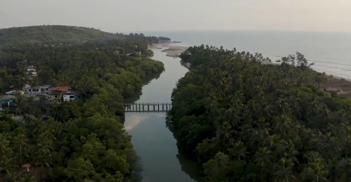 Aerial view of Mandrem Beach showcases a lush green landscape featuring a river winding through dense vegetation and a small bridge crossing it. Houses are scattered amongst the trees, and the river leads towards a beach with the ocean in the background under a hazy sky, epitomizing why life is better at the beach.