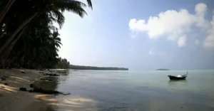 A serene view of Kalpeni Beach with clear blue waters gently lapping onto a sandy shore. A single traditional boat is moored near the water’s edge, and lush palm trees provide a tropical backdrop. In the distance, a small landmass or island is visible. The sky is partly cloudy, suggesting a calm and peaceful day.