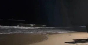 A person stands on Anjuna Beach at night, surrounded by the serene beauty of moonlit waves and a star-filled sky.