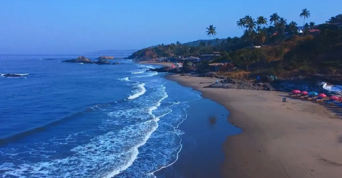 A panoramic view of Ozran Beach in Goa, showcasing a serene coastal scene with golden sand and gentle waves of the Arabian Sea. The beach is lined with colorful umbrellas and flanked by lush greenery and palm trees. Rocky outcrops extend into the sea, creating a picturesque natural boundary. The clear sky hints at dusk, casting a soft light over the tranquil landscape