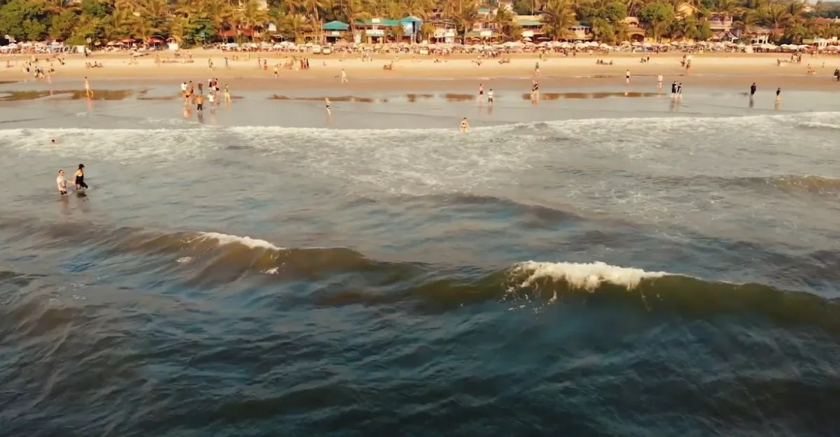 Beach scene with people in the water and on the sand, palm trees in the background.