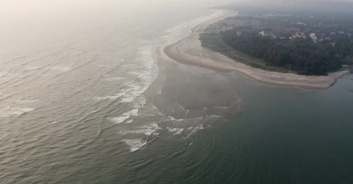 A picturesque view of Morjim Beach in Goa.