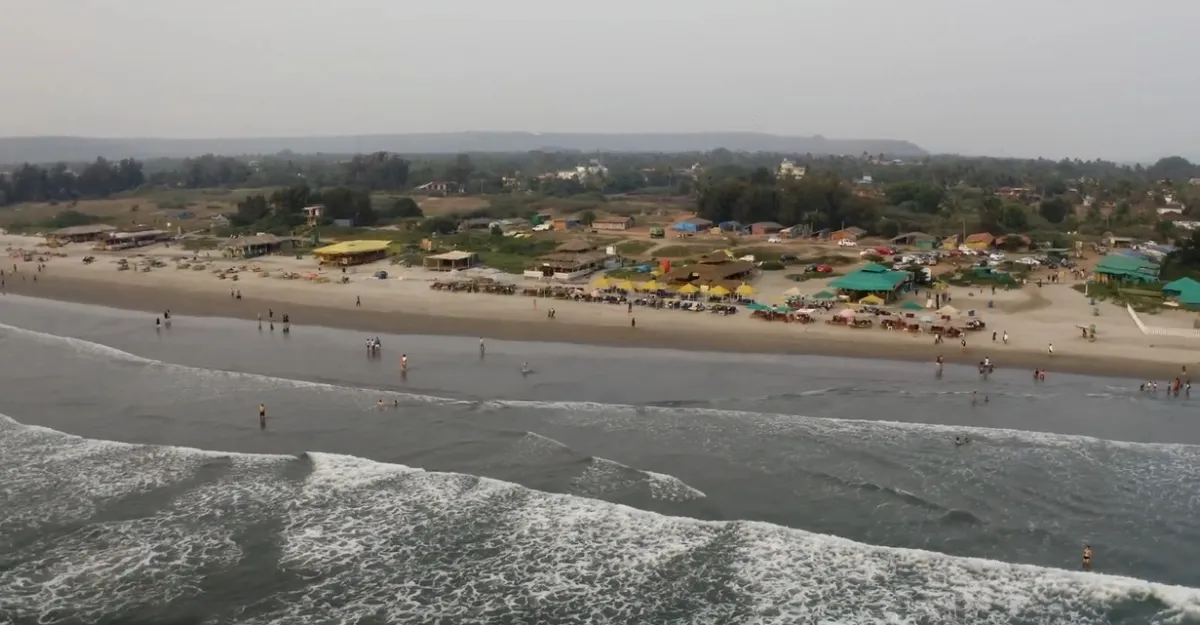 A panoramic view of Morjim Beach in Goa.