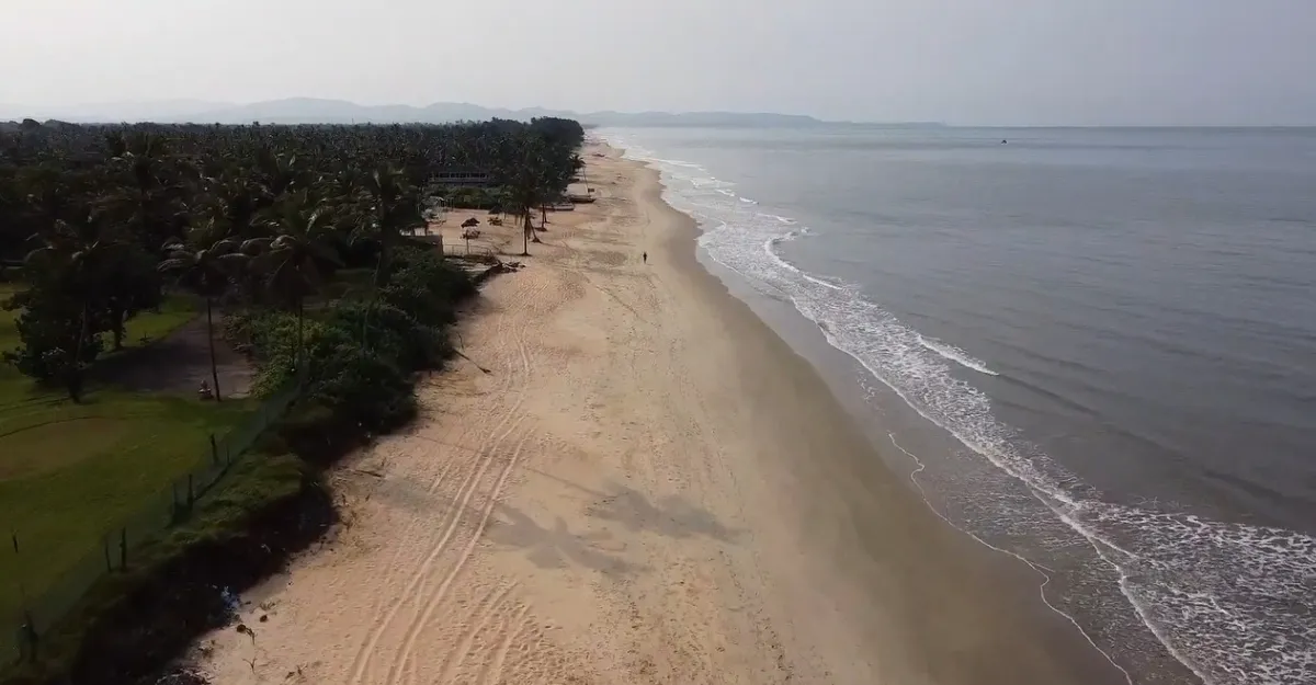 Aerial view of Benaulim Beach in Goa, showcasing its long stretch of golden sand bordered by lush palm trees, with gentle waves lapping the shore, exemplifying why Goa beaches are famous for their natural beauty and environment