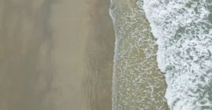 Aerial view of Benaulim Beach in Goa, showcasing the gentle waves lapping onto the golden sandy shore, exemplifying why Goa beaches are famous for their natural beauty and environment