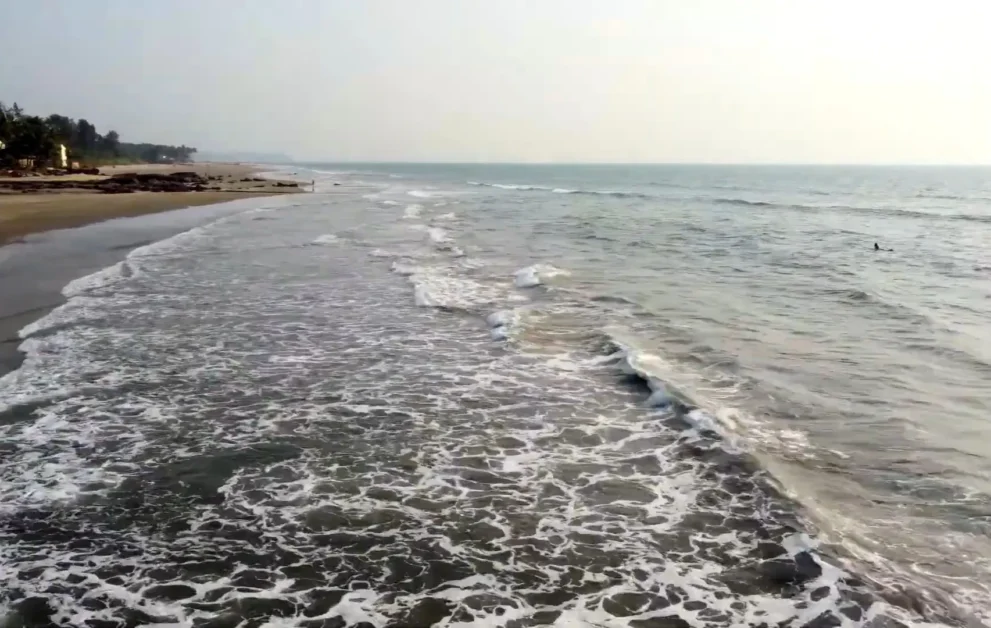 Serene view of Ashvem Beach in Goa, India. The beach features a smooth, sandy shore gently sloping into the calm Arabian Sea. Foamy waves softly lap at the beach, creating a rhythmic and tranquil ambiance. In the distance, a clear horizon where the sky meets the sea is visible, with lush greenery fringing the coastline. The absence of crowds suggests a peaceful and secluded atmosphere.