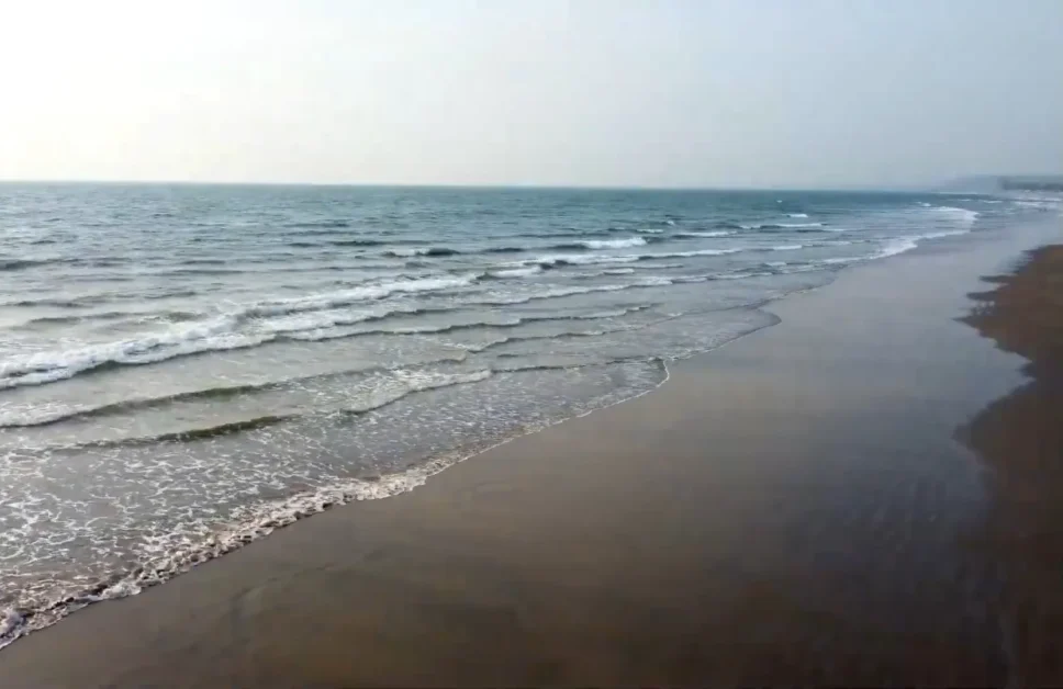 Serene view of Ashvem Beach in Goa, India. The beach features a smooth, sandy shore gently sloping into the calm, azure waters of the Arabian Sea. Foamy waves softly lap at the beach, creating a rhythmic and tranquil ambiance. In the distance, a clear horizon where the sky meets the sea is visible, with lush greenery fringing the coastline. The absence of crowds suggests a peaceful and secluded atmosphere.