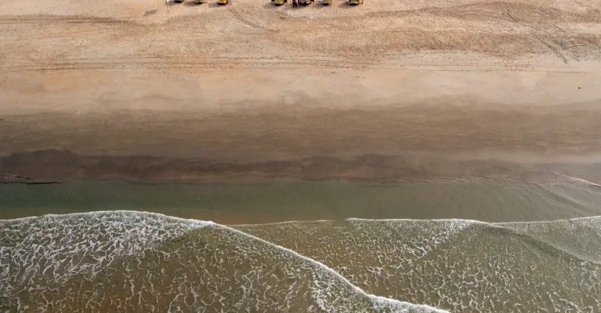 Aerial view of Palolem Beach in Goa, India. The beach features a curved coastline with golden sand, dotted with colorful boats and people enjoying the shore. Lush green palm trees line the back of the beach, and the sky is overcast, adding a serene atmosphere.