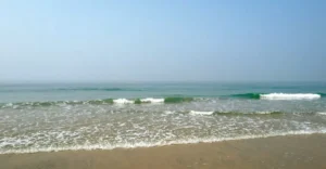 Aerial view of Palolem Beach in Goa, India. The beach features a curved coastline with golden sand, dotted with colorful boats and people enjoying the shore. Lush green palm trees line the back of the beach, and the sky is overcast, adding a serene atmosphere.