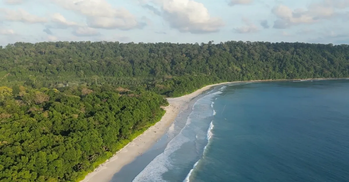 A scenic aerial view of Havelock Island's Radhanagar Beach, surrounded by lush green tropical forest, with white sandy shores gently kissed by the turquoise blue waters of the Andaman Sea. Visitors can be seen enjoying the peaceful coastline under a partly cloudy sky.