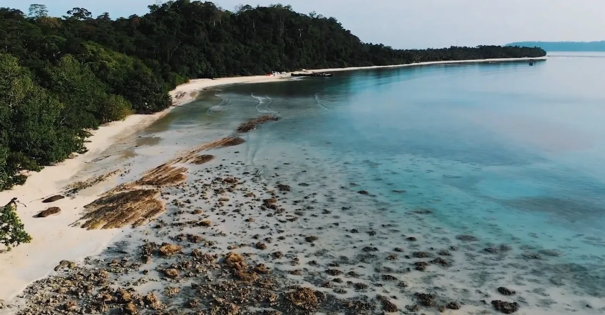 a serene view of a beach on Havelock Island, part of the Andaman and Nicobar Islands. The beach has clear, shallow turquoise waters gently meeting the white sandy shoreline. The foreground features some exposed rocks and coral formations, giving the scene a rugged, natural feel. In the background, the beach curves along a dense, green forest, enhancing the island's untouched beauty and providing a peaceful contrast between land and sea. The atmosphere is calm and tropical, perfect for a secluded getaway.