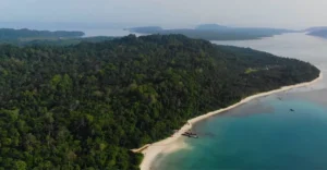 A stunning aerial view of Havelock Island's coastline, showcasing a pristine white-sand beach bordered by dense tropical forest. The clear blue waters gently meet the shore, with small boats anchored nearby, surrounded by a peaceful, lush landscape extending toward the horizon.