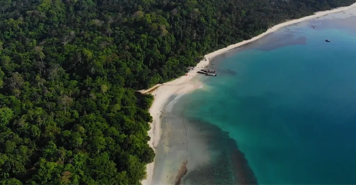 Aerial view of a secluded beach surrounded by dense green forest and clear turquoise waters on Havelock Island.