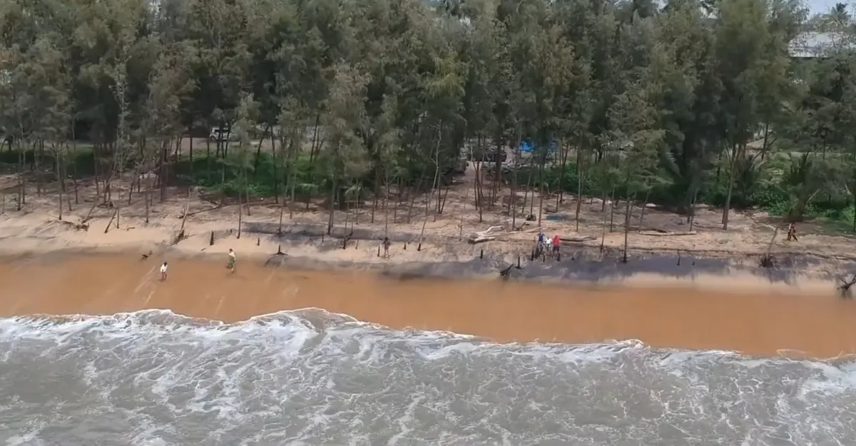 Kochi beaches