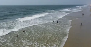 A view of Cavelossim Beach in Goa during the monsoon season, showing people swimming and wading in the shallow waters as waves gently crash onto the sandy shore. Despite the potentially strong currents typical of monsoon season, beachgoers are enjoying the ocean, prompting the question, "Is it safe to swim at Goa beaches during the monsoon season?" The image captures the lively atmosphere at the beach while highlighting the seasonal conditions that may impact safety.